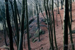 Varusfelsen im Teutoburger Wald
