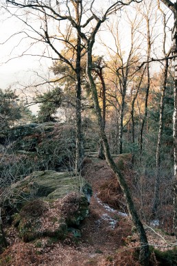 Teutoburger Wald Hermannsweg