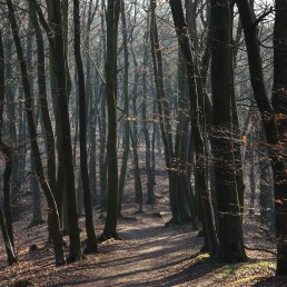 Teutoburger Wald Dörenther Klippen