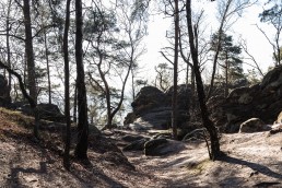 Teutoburger Wald Dörenther Klippen