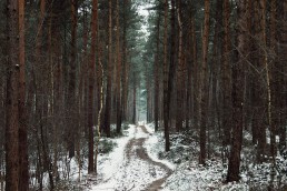 Teutoburger Wald im Winter mit Schnee